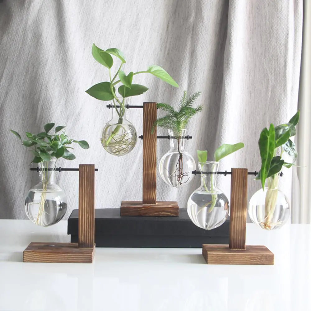 Glass Vase Tabletop Terrarium Hydroponics Plant Vases